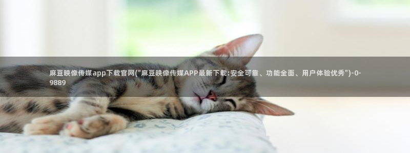 麻豆文化传媒A官网最新:麻豆映像传媒app下载官网(\
