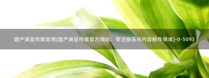 麻豆床传媒官网免:国产麻豆传媒官网(国产麻豆传媒官方网站:专注娱乐与内容制作领域)